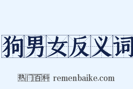 狗男女反义词是什么意思的图片